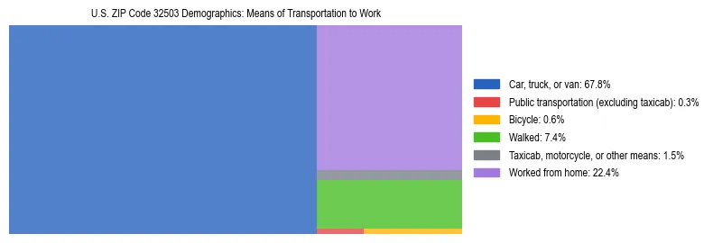 Treemap showing means of transportation to work distribution in US ZIP Code 32503.