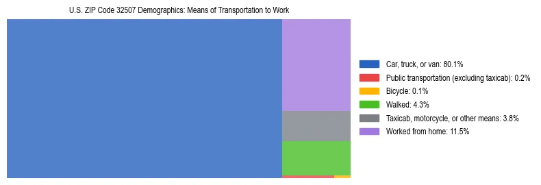 Treemap showing means of transportation to work distribution in US ZIP Code 32507.