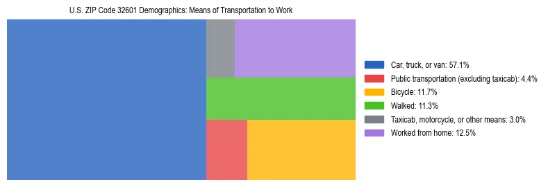 Treemap showing means of transportation to work distribution in US ZIP Code 32601.