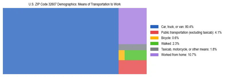Treemap showing means of transportation to work distribution in US ZIP Code 32607.