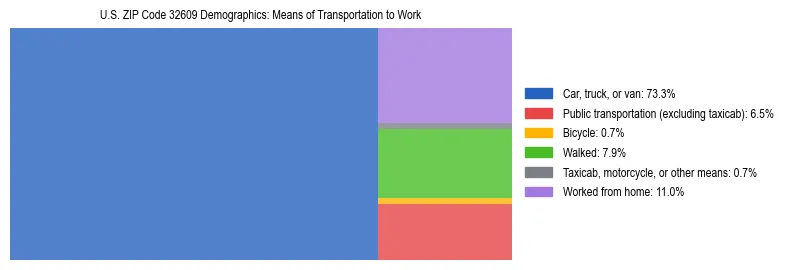 Treemap showing means of transportation to work distribution in US ZIP Code 32609.