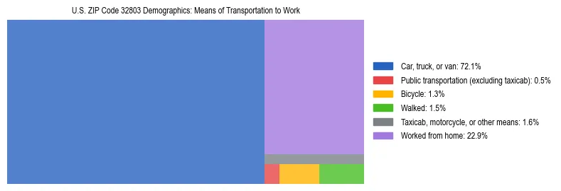 Treemap showing means of transportation to work distribution in US ZIP Code 32803.