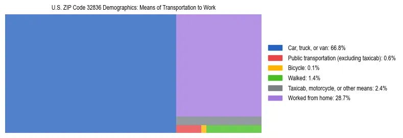Treemap showing means of transportation to work distribution in US ZIP Code 32836.