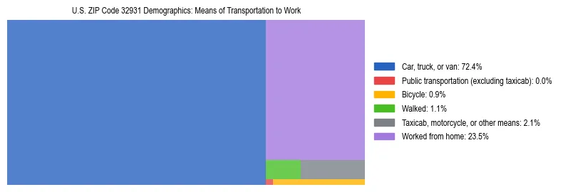 Treemap showing means of transportation to work distribution in US ZIP Code 32931.