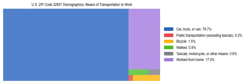 Treemap showing means of transportation to work distribution in US ZIP Code 32937.