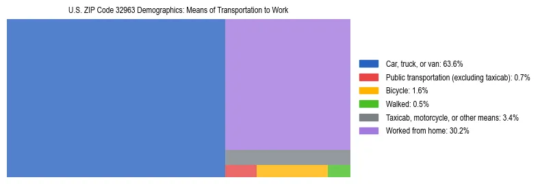 Treemap showing means of transportation to work distribution in US ZIP Code 32963.