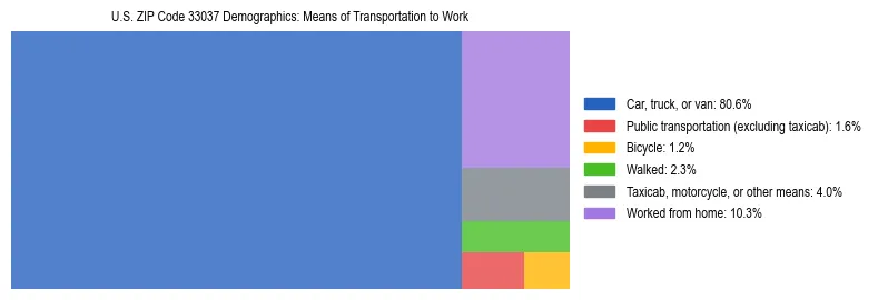 Treemap showing means of transportation to work distribution in US ZIP Code 33037.