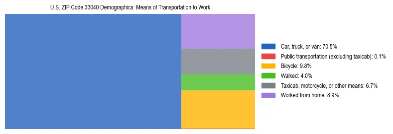 Treemap showing means of transportation to work distribution in US ZIP Code 33040.