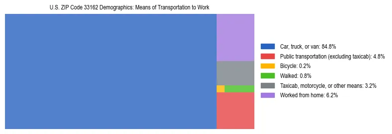 Treemap showing means of transportation to work distribution in US ZIP Code 33162.
