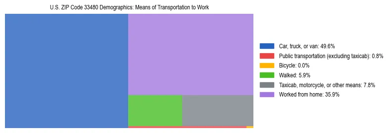 Treemap showing means of transportation to work distribution in US ZIP Code 33480.