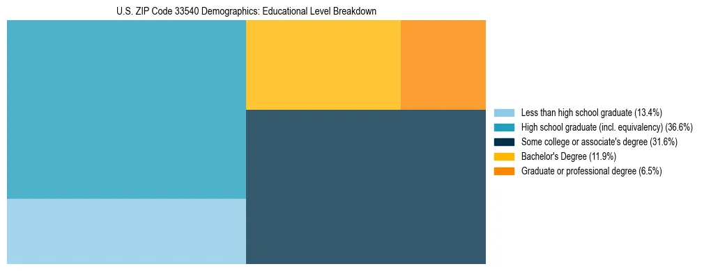 Treemap chart illustrating the educational attainment breakdown for population 25 years and over in US ZIP Code 33540.