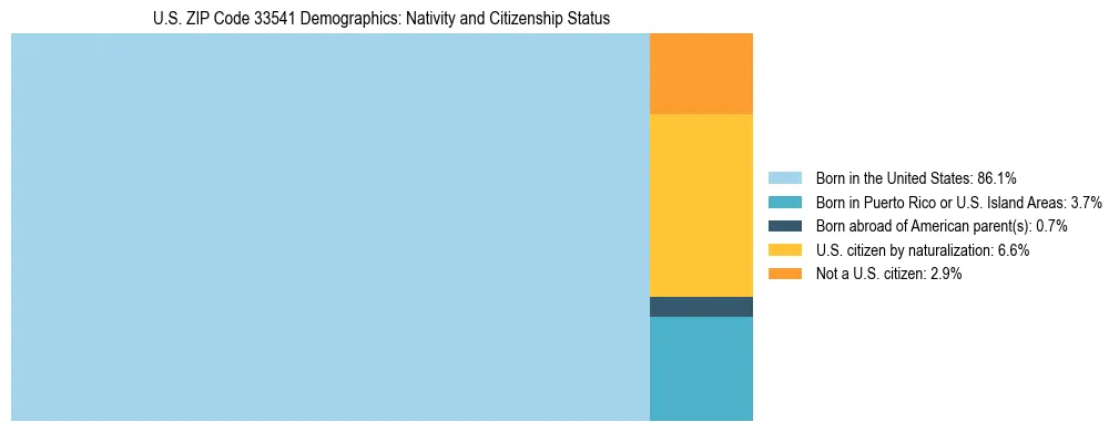 Treemap showing the population distribution by nativity and citizenship status in US ZIP Code 33541 based on U.S. Census data.
