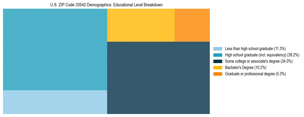 Treemap chart illustrating the educational attainment breakdown for population 25 years and over in US ZIP Code 33542.