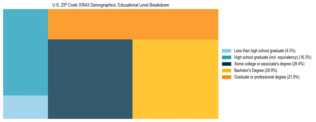 Treemap chart illustrating the educational attainment breakdown for population 25 years and over in US ZIP Code 33543.