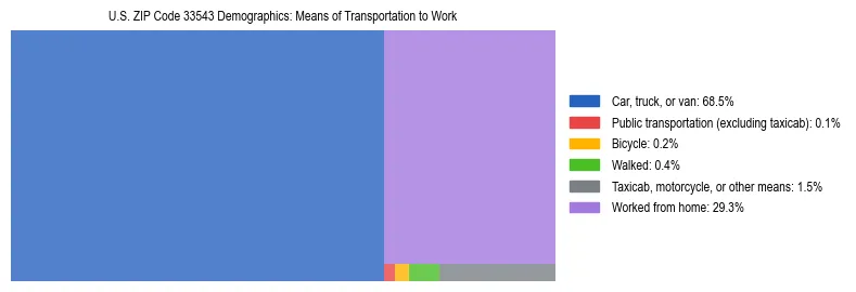 Treemap showing means of transportation to work distribution in US ZIP Code 33543.