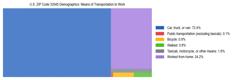 Treemap showing means of transportation to work distribution in US ZIP Code 33545.