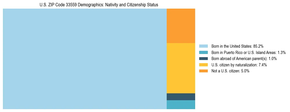 Treemap showing the population distribution by nativity and citizenship status in US ZIP Code 33559 based on U.S. Census data.