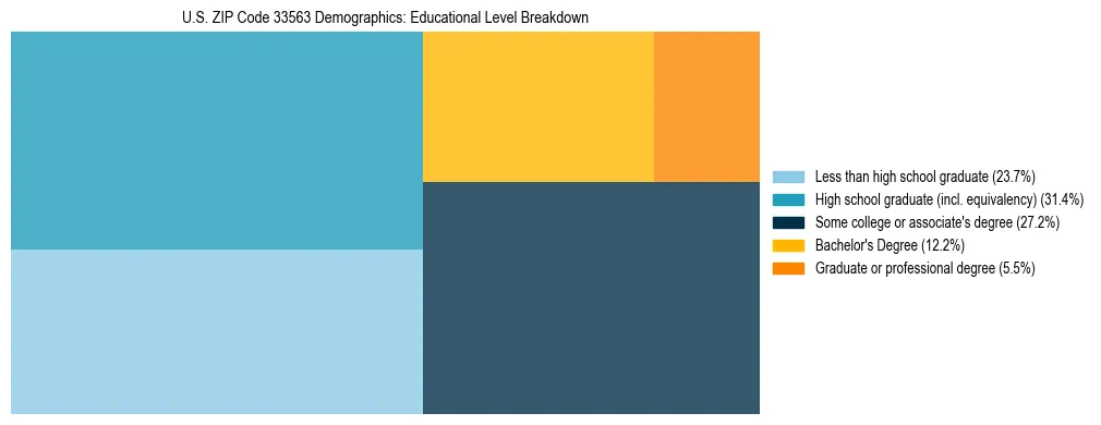 Treemap chart illustrating the educational attainment breakdown for population 25 years and over in US ZIP Code 33563.