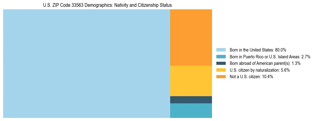 Treemap showing the population distribution by nativity and citizenship status in US ZIP Code 33563 based on U.S. Census data.