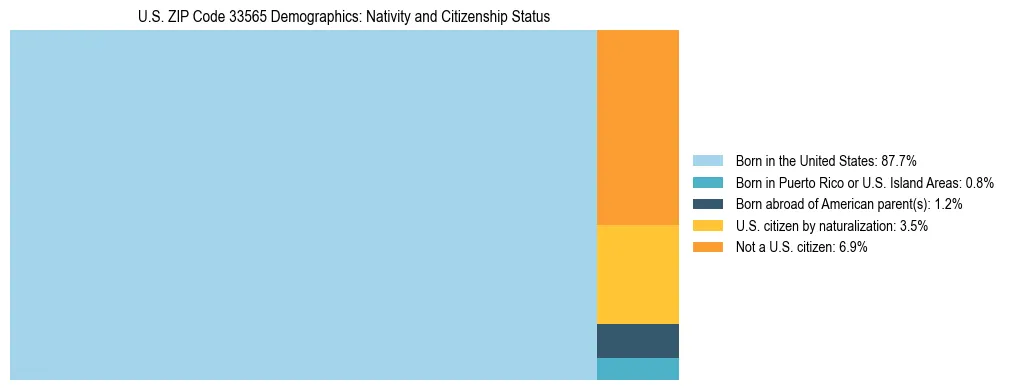 Treemap showing the population distribution by nativity and citizenship status in US ZIP Code 33565 based on U.S. Census data.