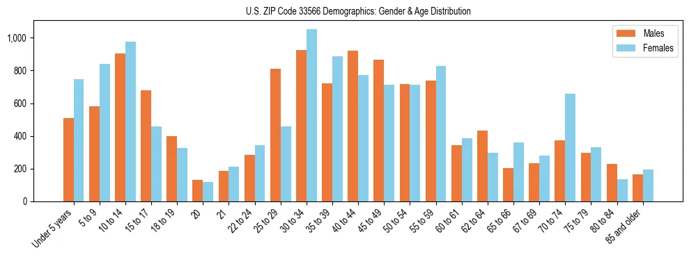 Bar chart showing the population distribution of US ZIP Code 33566 by age group and gender, based on 2023 ACS data.