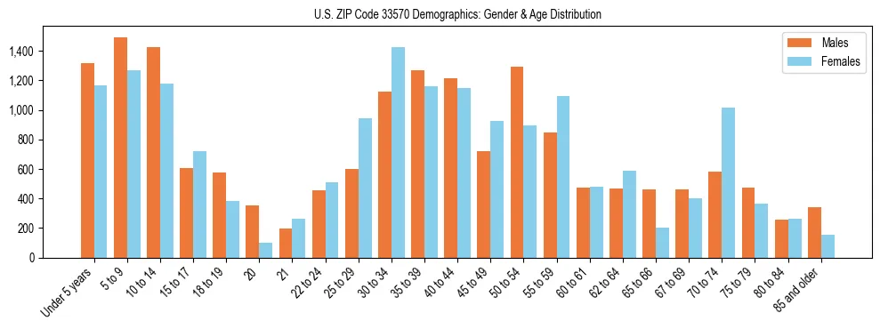 Bar chart showing the population distribution of US ZIP Code 33570 by age group and gender, based on 2023 ACS data.