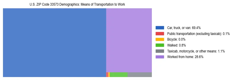Treemap showing means of transportation to work distribution in US ZIP Code 33573.