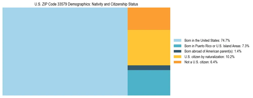 Treemap showing the population distribution by nativity and citizenship status in US ZIP Code 33579 based on U.S. Census data.