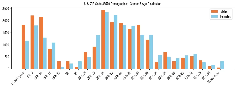 Bar chart showing the population distribution of US ZIP Code 33579 by age group and gender, based on 2023 ACS data.