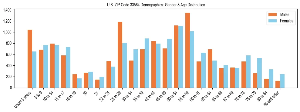 Bar chart showing the population distribution of US ZIP Code 33584 by age group and gender, based on 2023 ACS data.
