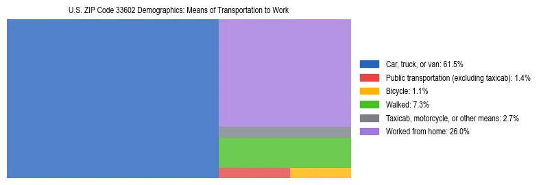 Treemap showing means of transportation to work distribution in US ZIP Code 33602.