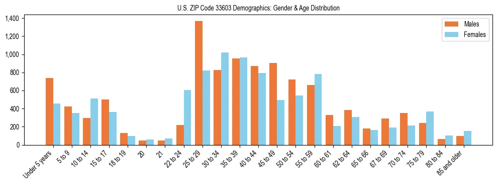 Bar chart showing the population distribution of US ZIP Code 33603 by age group and gender, based on 2023 ACS data.