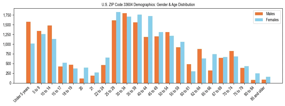 Bar chart showing the population distribution of US ZIP Code 33604 by age group and gender, based on 2023 ACS data.