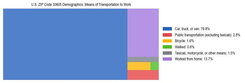 Treemap showing means of transportation to work distribution in US ZIP Code 33605.