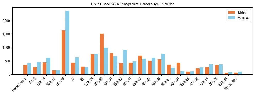 Bar chart showing the population distribution of US ZIP Code 33606 by age group and gender, based on 2023 ACS data.