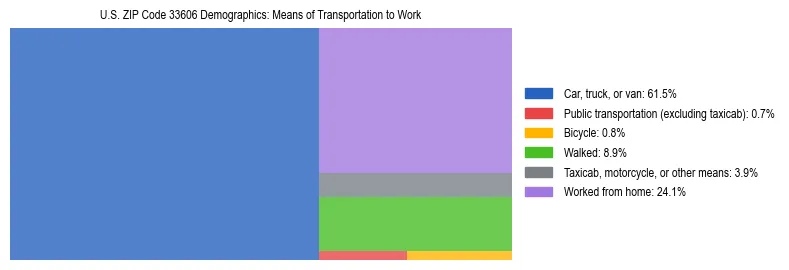 Treemap showing means of transportation to work distribution in US ZIP Code 33606.
