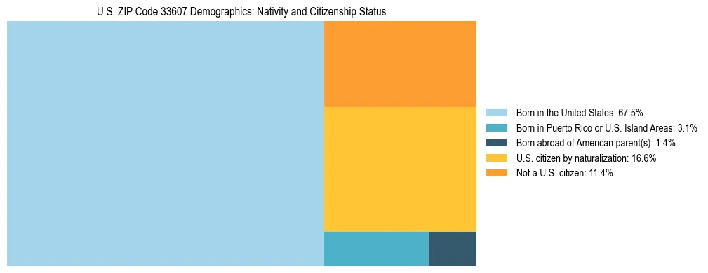 Treemap showing the population distribution by nativity and citizenship status in US ZIP Code 33607 based on U.S. Census data.