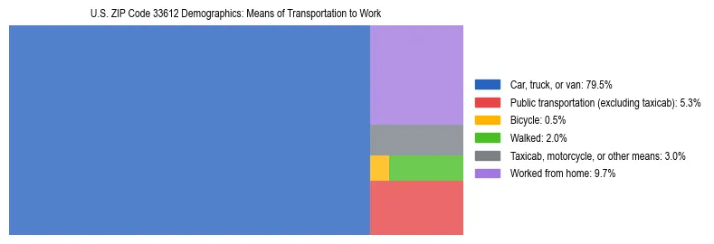 Treemap showing means of transportation to work distribution in US ZIP Code 33612.