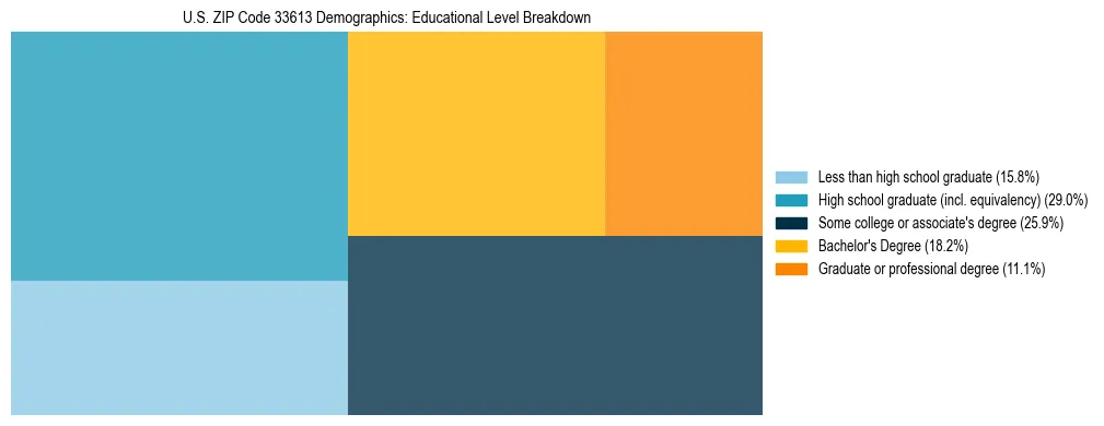 Treemap chart illustrating the educational attainment breakdown for population 25 years and over in US ZIP Code 33613.