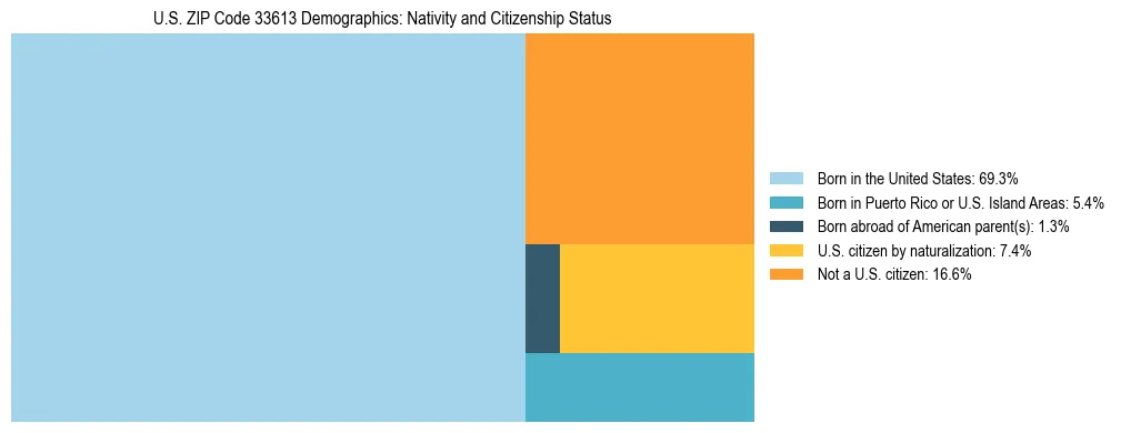 Treemap showing the population distribution by nativity and citizenship status in US ZIP Code 33613 based on U.S. Census data.