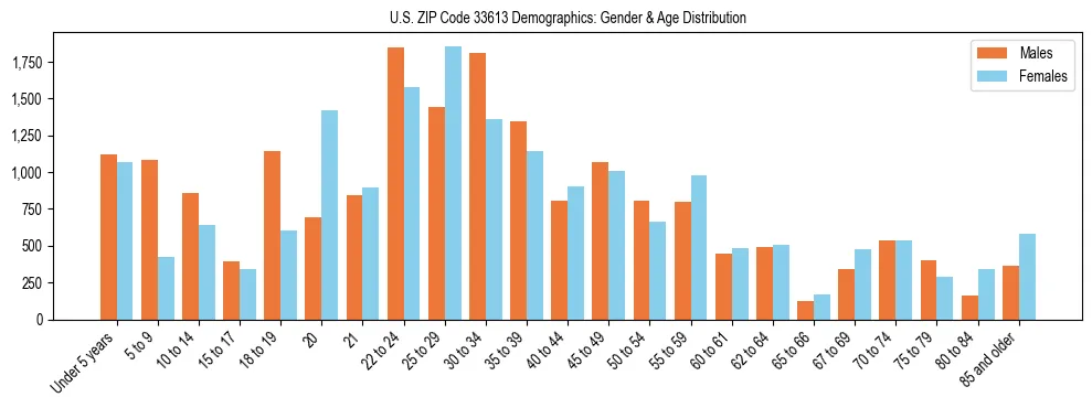Bar chart showing the population distribution of US ZIP Code 33613 by age group and gender, based on 2023 ACS data.