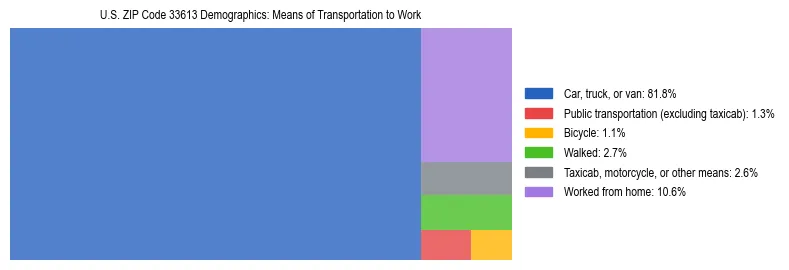 Treemap showing means of transportation to work distribution in US ZIP Code 33613.