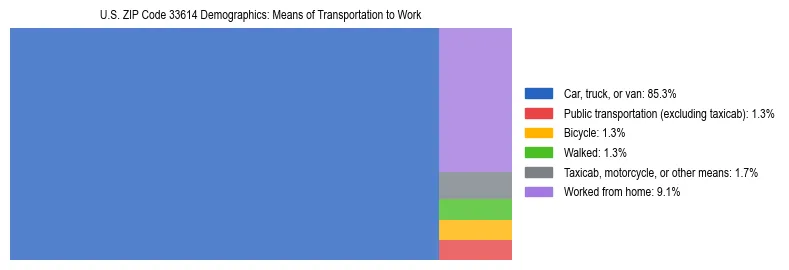 Treemap showing means of transportation to work distribution in US ZIP Code 33614.