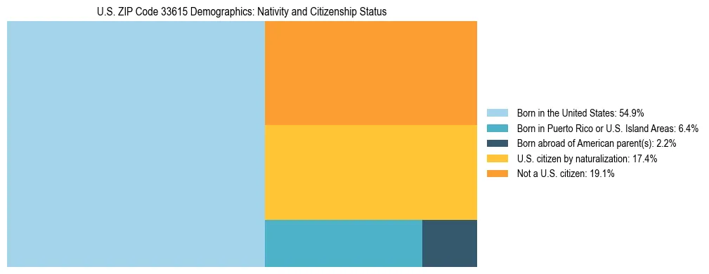 Treemap showing the population distribution by nativity and citizenship status in US ZIP Code 33615 based on U.S. Census data.