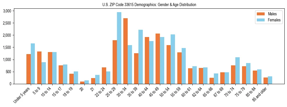 Bar chart showing the population distribution of US ZIP Code 33615 by age group and gender, based on 2023 ACS data.