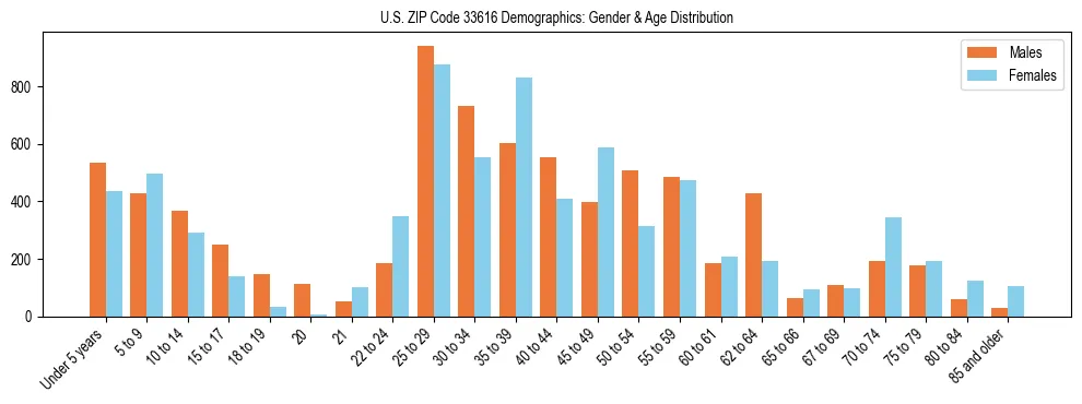 Bar chart showing the population distribution of US ZIP Code 33616 by age group and gender, based on 2023 ACS data.
