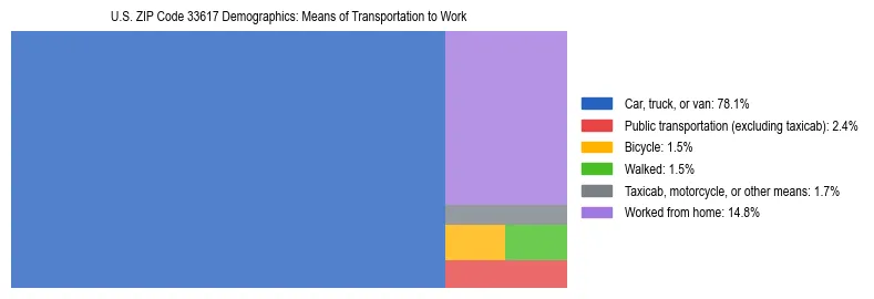 Treemap showing means of transportation to work distribution in US ZIP Code 33617.
