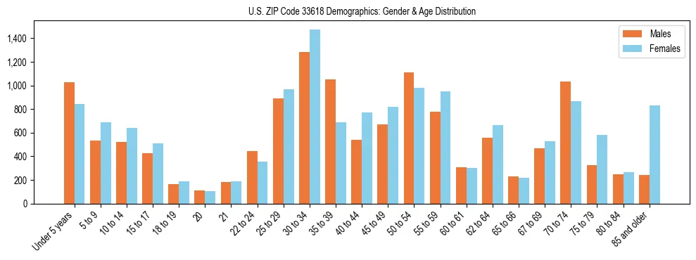 Bar chart showing the population distribution of US ZIP Code 33618 by age group and gender, based on 2023 ACS data.