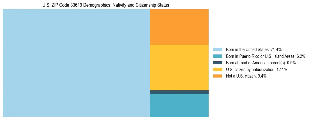 Treemap showing the population distribution by nativity and citizenship status in US ZIP Code 33619 based on U.S. Census data.