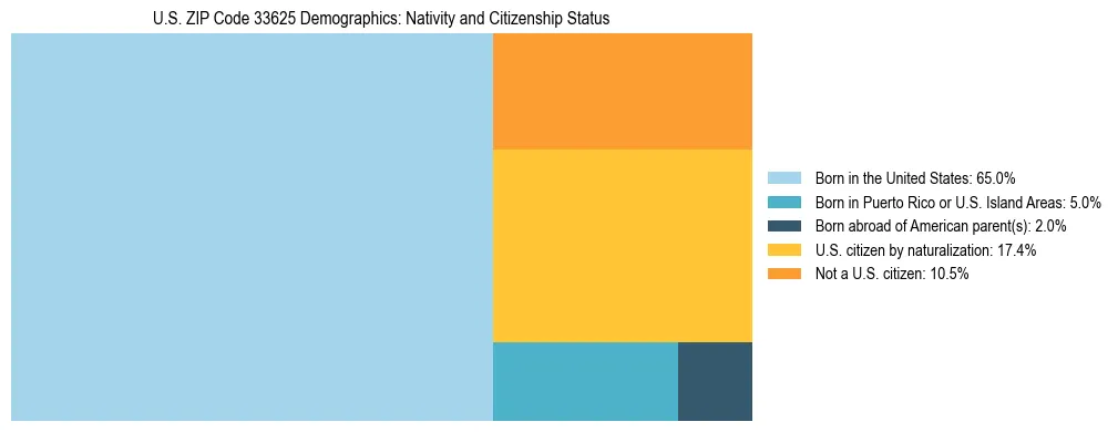Treemap showing the population distribution by nativity and citizenship status in US ZIP Code 33625 based on U.S. Census data.